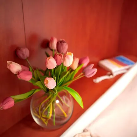 Hvar Adria 아파트 *